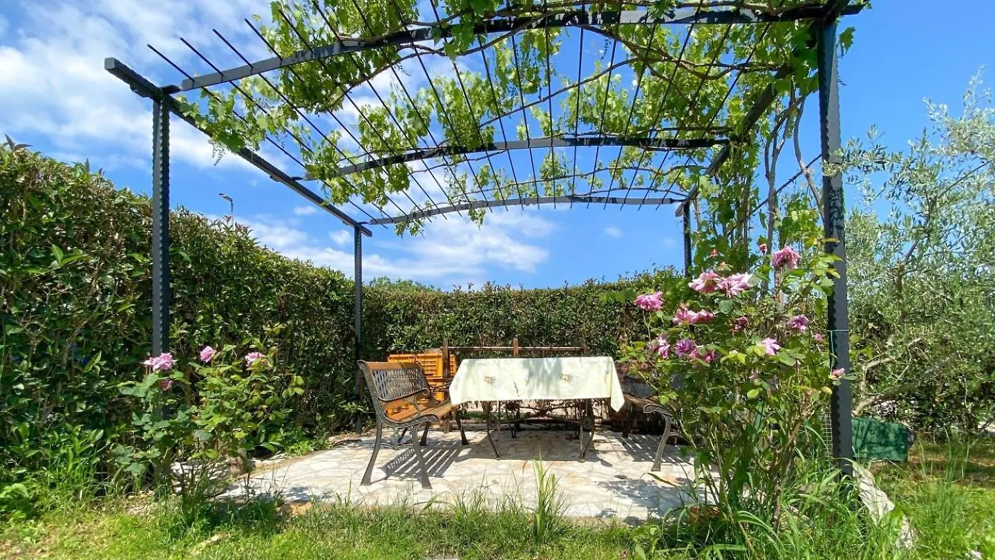 Olimpia 2 Apartment Novigrad  0*, Novigrad (Istria) Croatia